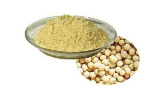 女性備孕吃黑豆還是黃豆好 黑豆和黃豆區別對比