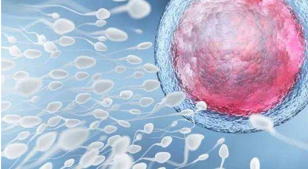 試管嬰兒成功率高嗎 5個提高試管嬰兒成功的方法