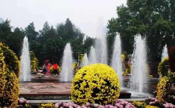 2018重陽節作文800字 最新重陽節快樂作文400字