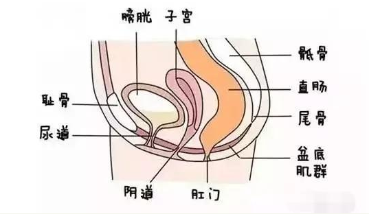 產后漏尿正常嗎 產后漏尿怎么辦