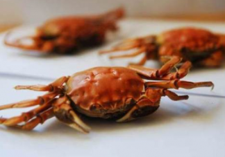孕婦為什么不能吃螃蟹腿    吃螃蟹腿會流產(chǎn)嗎