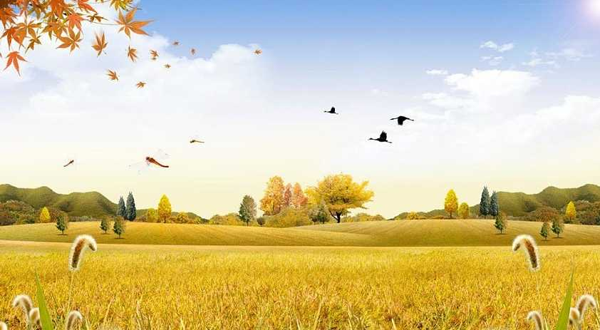 關于秋天的詩詞歌賦 和孩子一起學秋天詩詞