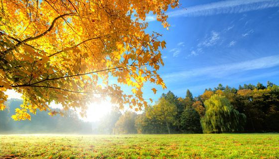 關于秋天的詩詞歌賦 和孩子一起學秋天詩詞