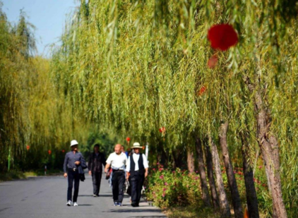 重陽節會放假嗎 重陽節的意義是什么 