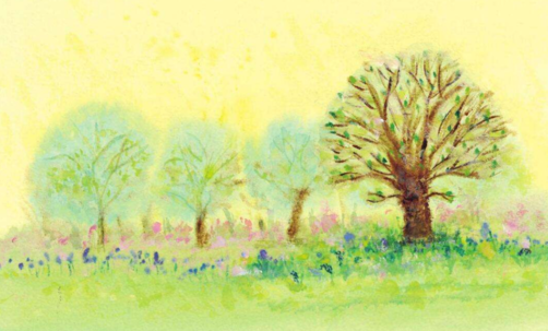 寶寶睡前故事：小葉船