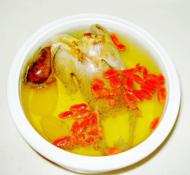 適合孕婦喝的鴿子湯 滋補鴿子湯食譜推薦