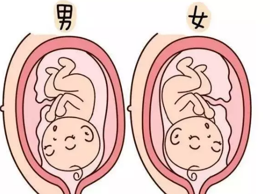 2018年10月18號行房受孕生男生女 農歷九月初十懷孕生男孩還是女孩