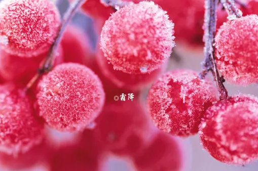 霜降后寶寶睡覺穿什么好 秋天寶寶睡覺要用睡袋嗎