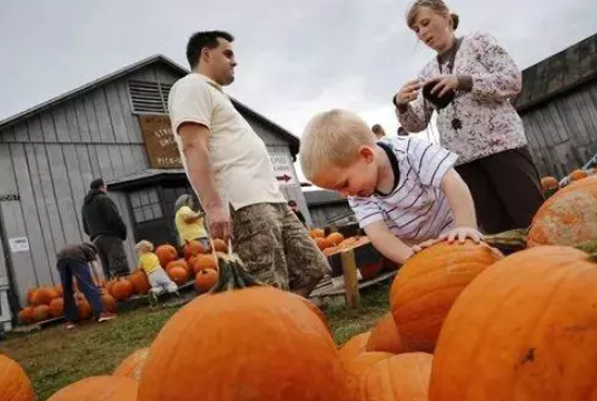 幼兒園感恩節的親子游戲 2018感恩節親子游戲活動大全