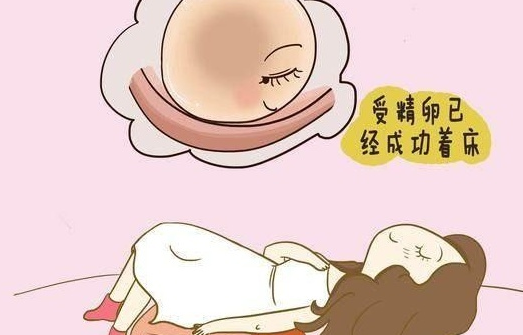 受精卵著床期間可以同房嗎   受精卵著床期間可以跑步嗎