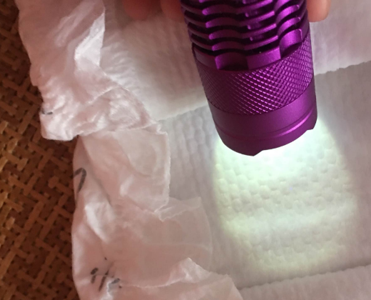 倍康紙尿褲會(huì)紅屁股嗎 倍康紙尿褲質(zhì)量安全嗎