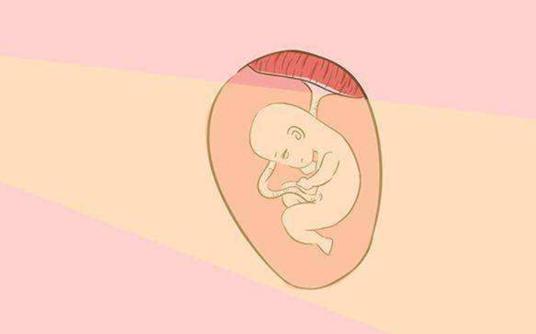 什么時候可以進行胎兒視覺訓練 如何訓練嬰兒視覺