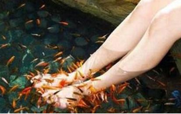 孕婦可以做魚療嗎 懷孕初期需要注意哪些問題