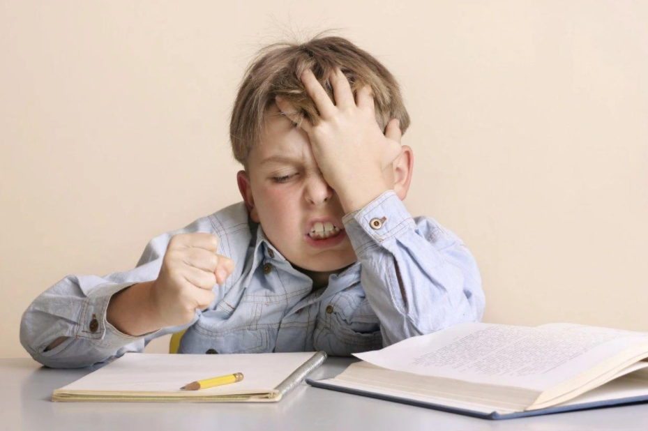 小學生佛系作文走紅 學習意味著什么