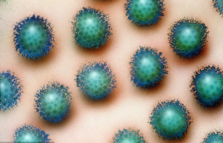 美兒童護理機構出現嚴重腺病毒疫情 已致使6名兒童死亡