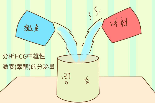 胎兒性別檢測試紙準嗎 如何看胎兒的性別