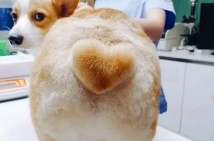 寶寶冬季皮膚護理大全 2018冬季寶寶皮膚護理方法 寶寶冬季皮膚護理大全 2018冬季寶寶皮膚護理方法