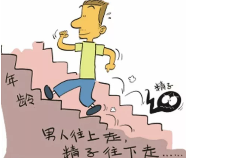 高齡爸爸怎么備孕   高齡爸爸備孕方法