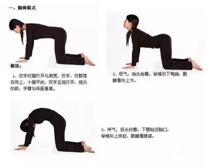 備孕期間練瑜伽會(huì)影響著床嗎 哪些瑜伽動(dòng)作有助于受孕