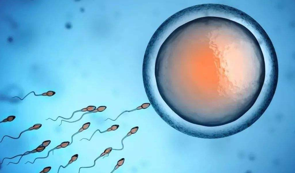 免疫性不孕做試管嬰兒有用嗎 免疫性不孕如何檢查