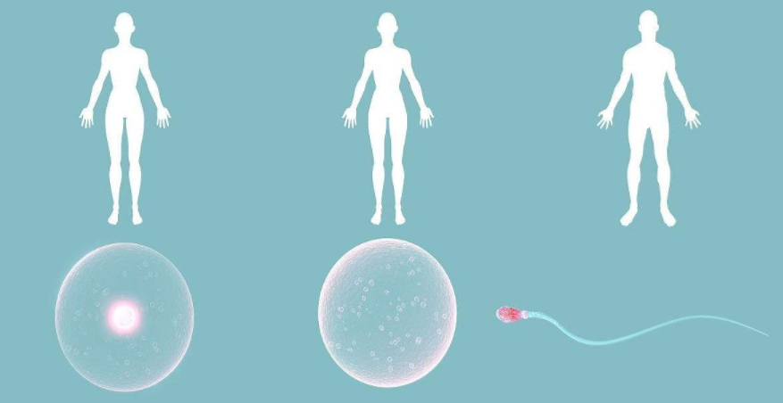 免疫性不孕做試管嬰兒有用嗎 免疫性不孕如何檢查