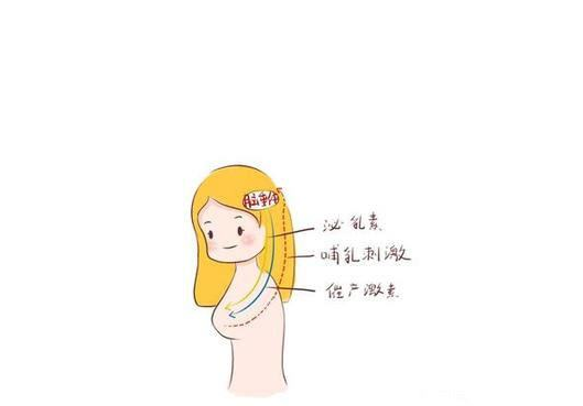 泌乳素過高會導致不孕嗎 泌乳素過高怎么辦