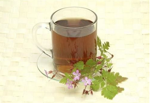 產后可以吃魚腥草嗎 吃魚腥草有什么好處