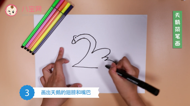大天鵝簡筆畫視頻   大天鵝簡筆畫步驟教程