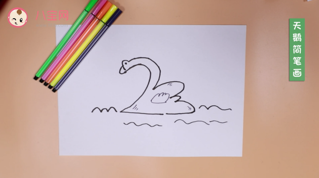 大天鵝簡筆畫視頻   大天鵝簡筆畫步驟教程