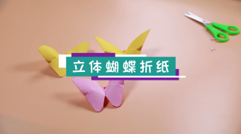 立體蝴蝶折紙視頻   立體蝴蝶折紙步驟圖解