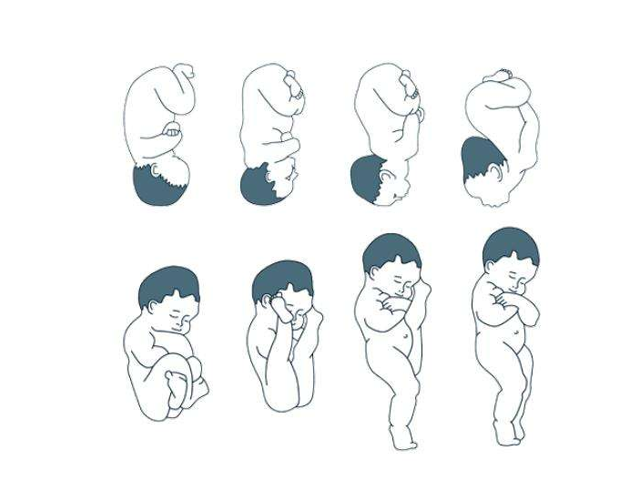 孕晚期胎位會變嗎 如何糾正胎位不正