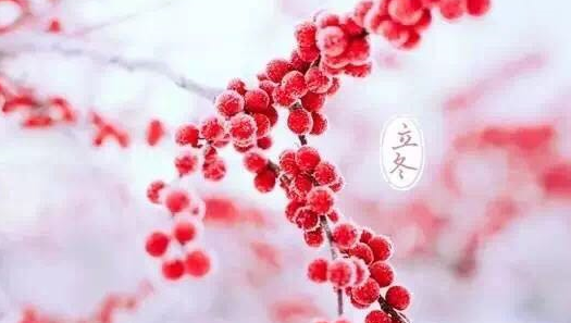 2018立冬祝福語錄   立冬朋友圈祝福語