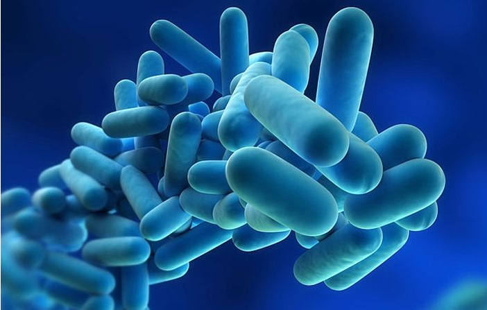 益生菌可以治療便秘嗎 益生菌什么時候吃好