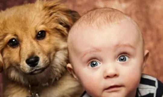 剃光頭可以讓頭發變好嗎  寶寶什么時候可以剃光頭