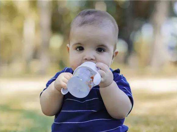 寶寶多大可以喝七星茶 寶寶上火可以喝七星茶嗎