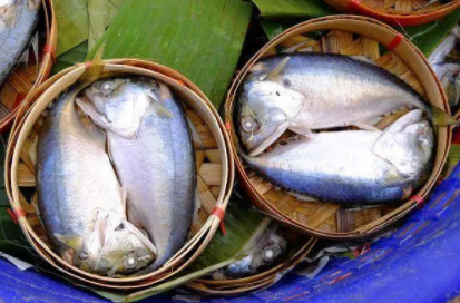 寶寶補充DHA有什么好處 補充DHA作用介紹 寶寶補充DHA有什么好處 補充DHA作用介紹