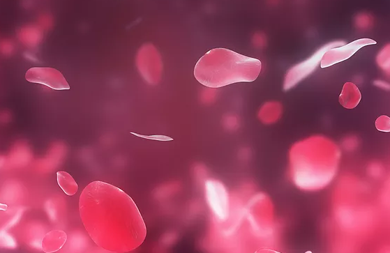 孕婦血小板低一定是itp嗎   血小板低和itp的關系