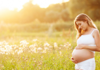 孕婦上火吃什么降火   孕婦降火食物選擇推薦