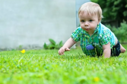 寶寶爬行怎么訓練   寶寶爬行訓練方法
