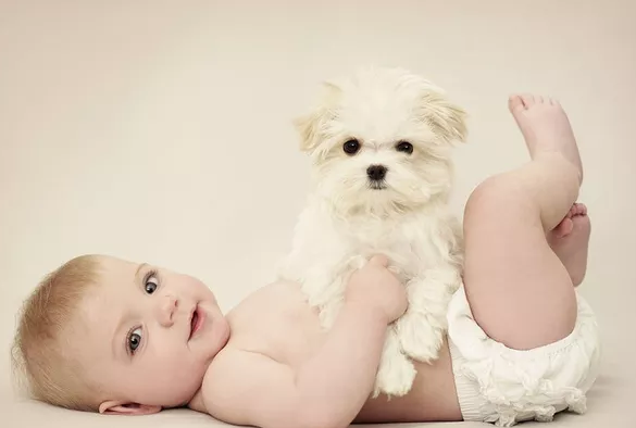 寶寶頻繁抓耳朵是怎么回事 頻繁抓耳朵的原因 寶寶頻繁抓耳朵是怎么回事 頻繁抓耳朵的原因