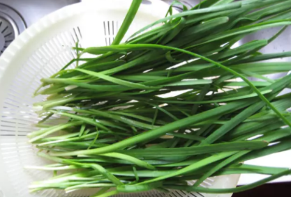 孕婦濕疹吃什么好 調理濕疹食物推薦 孕婦濕疹吃什么好 調理濕疹食物推薦