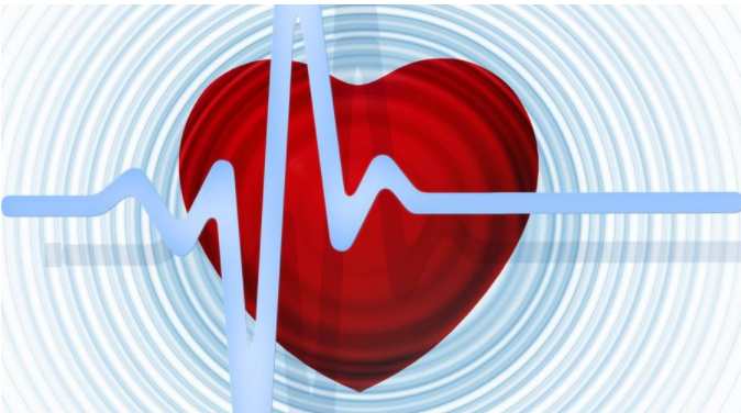 寶寶什么時候開始有心跳的 胎兒心臟發育過程