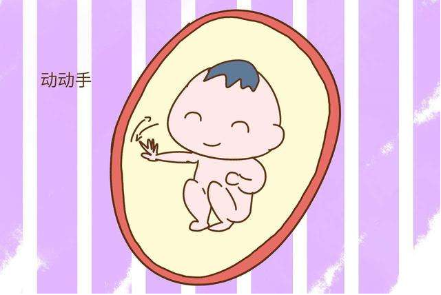 胎動(dòng)是什么感覺 胎動(dòng)的3種檢測(cè)方式