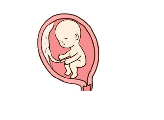 胎盤成熟度三級是快生了嗎 胎盤達到三級后怎么辦