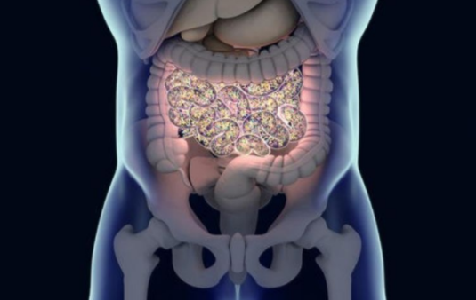 寶寶吃益生元還是益生菌  益生元和益生菌哪個(gè)好