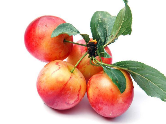 孕媽吃梨寶寶會變黑嗎 哪些水果可以吃