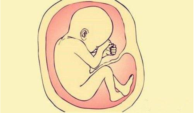 孕婦防輻射服管用嗎 孕婦防輻射服推薦