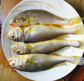 懷孕多吃這幾種魚 寶寶智力蹭蹭的長