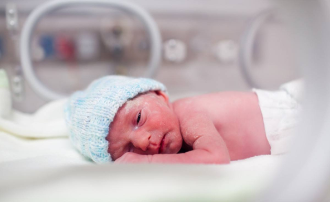 新生兒痤瘡多久能好 新生兒痤瘡怎么護理好 新生兒痤瘡多久能好 新生兒痤瘡怎么護理好