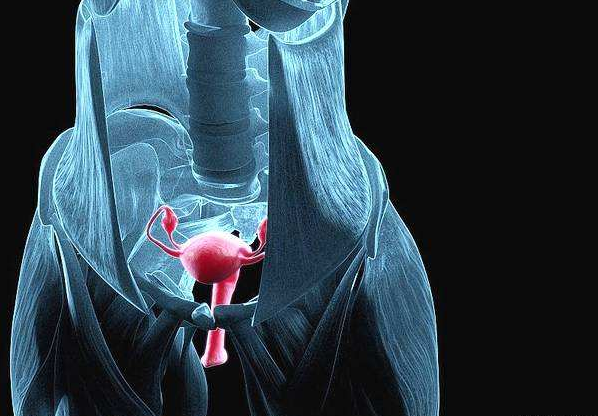 產(chǎn)后子宮下垂怎么預(yù)防 子宮恢復(fù)需要多久